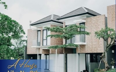 A House Like No Other